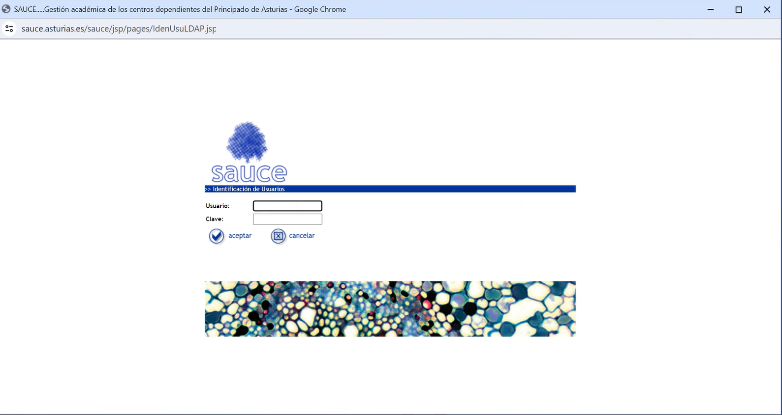 Login_Sauce2